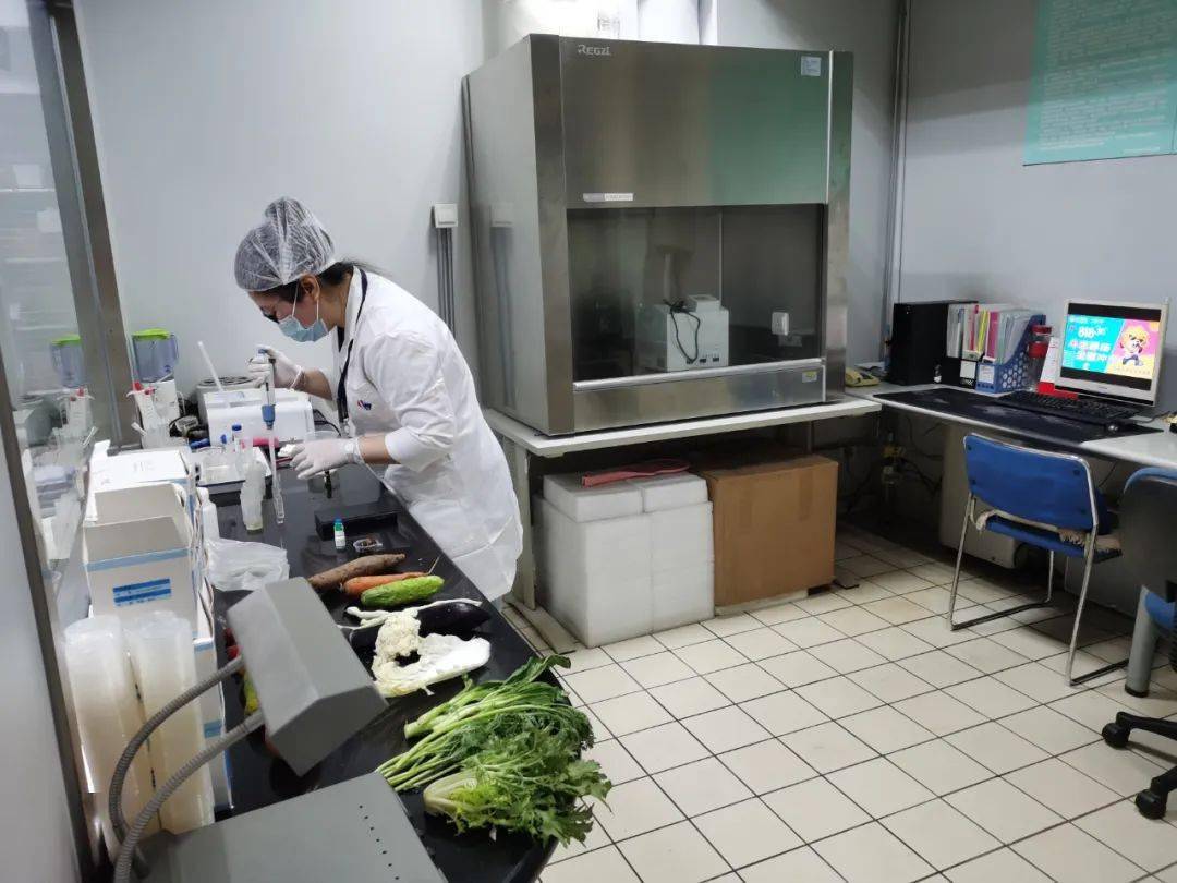 定安食品检测实验室装修方案